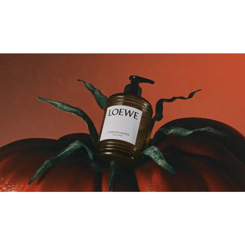 ☆新品未使用☆ LOEWE TOMATO LEAVES Liquid Soap LOEWE Tomato Leaves Solid Soap (290g) | Harrods SG