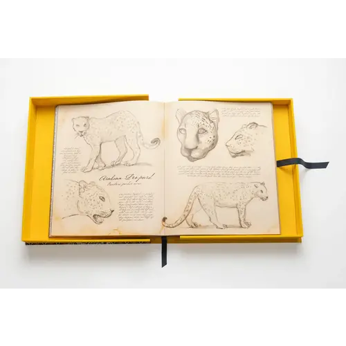 Assouline Arabian Leopard (Ultimate Edition) Assouline Arabian Leopard (Ultimate Edition)