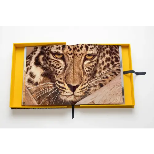 Assouline Arabian Leopard (Ultimate Edition) Assouline Arabian Leopard (Ultimate Edition)