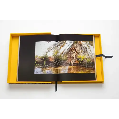 Assouline Arabian Leopard (Ultimate Edition) Assouline Arabian Leopard (Ultimate Edition)