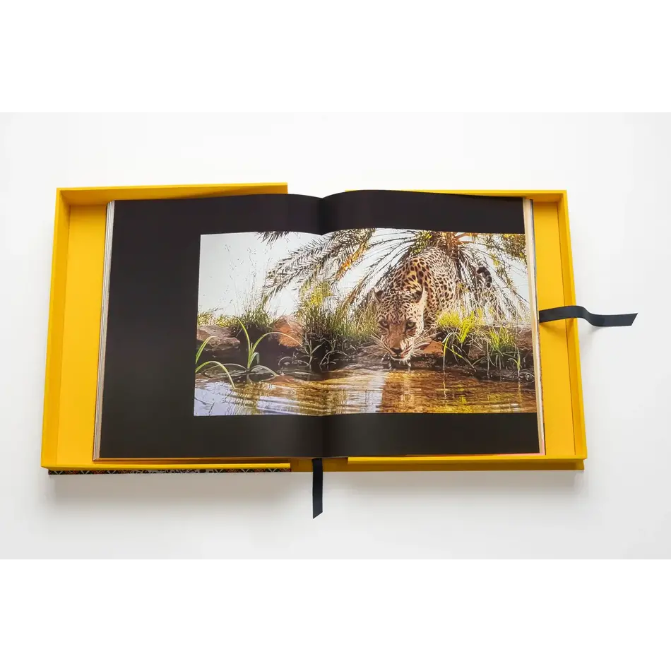 Assouline Arabian Leopard (Ultimate Edition) Assouline Arabian Leopard (Ultimate Edition)