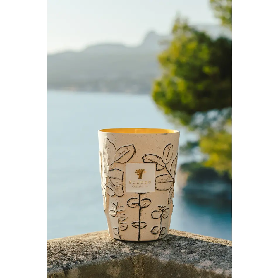 Baobab Candle Folia Calanque - Max 35 Baobab Candle Folia Calanque - Max 35