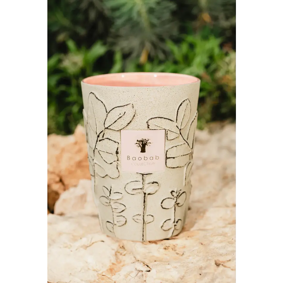 Baobab Candle Folia Maquis - Max 10 Baobab Candle Folia Maquis - Max 10