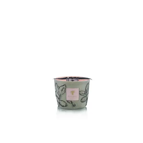 Baobab Candle Folia Maquis - Max 10 Baobab Candle Folia Maquis - Max 10