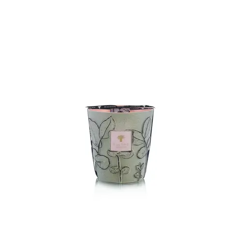 Baobab Candle Folia Maquis - Max 16 Baobab Candle Folia Maquis - Max 16