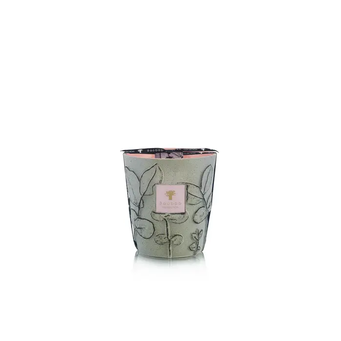 Baobab Folia Maquis - Max 16 Geurkaars Baobab Folia Maquis - Max 16 Geurkaars