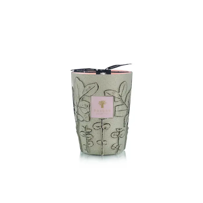 Baobab Folia Maquis - Max 24 Geurkaars Baobab Folia Maquis - Max 24 Geurkaars