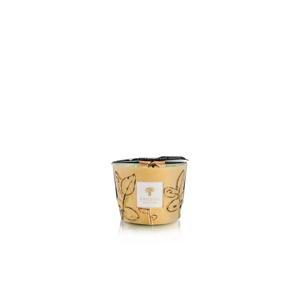 Baobab Folia Garrigue - Max 10 Geurkaars Baobab Folia Garrigue - Max 10 Geurkaars
