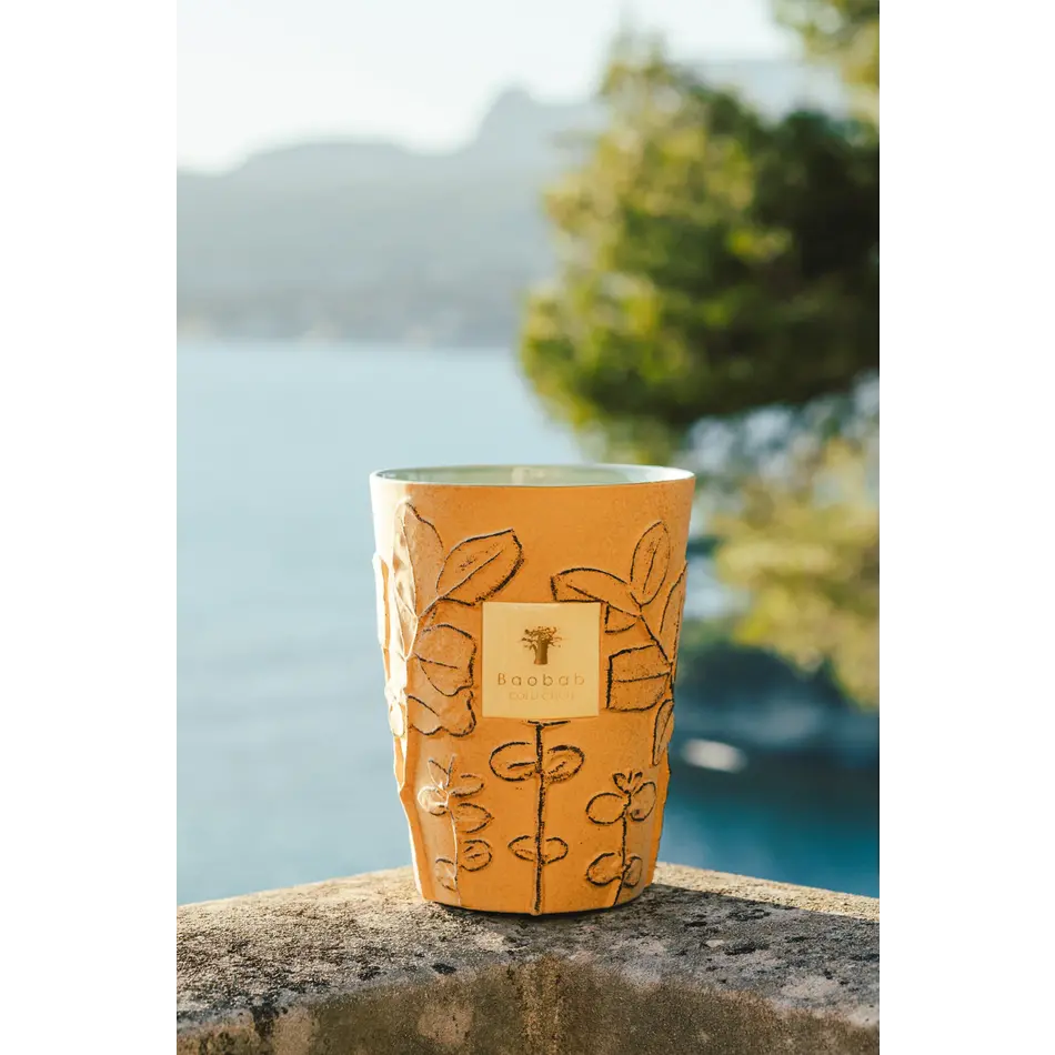 Baobab Folia Garrigue - Max 16 Geurkaars Baobab Folia Garrigue - Max 16 Geurkaars