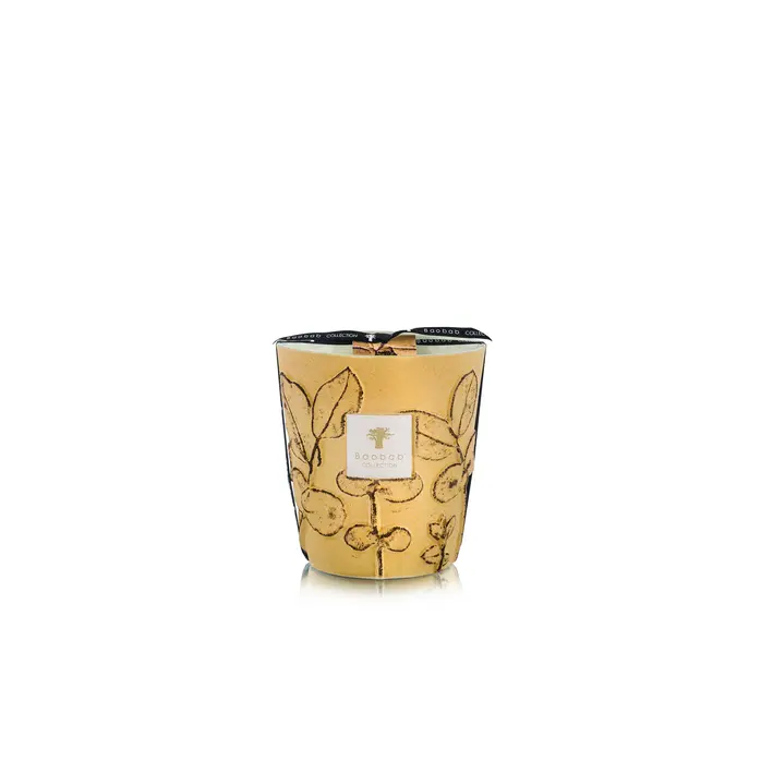 Baobab Folia Garrigue - Max 16 Geurkaars Baobab Folia Garrigue - Max 16 Geurkaars