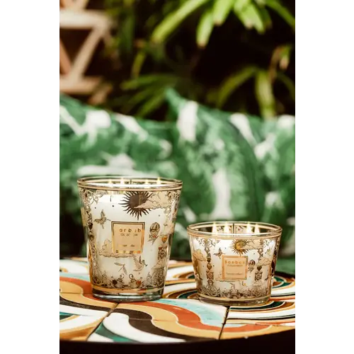 Baobab Tomorrowland 2025 Max 10 Baobab Tomorrowland 2025 Max 10