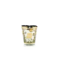 Tomorrowland 2025 Max 16 Geurkaars