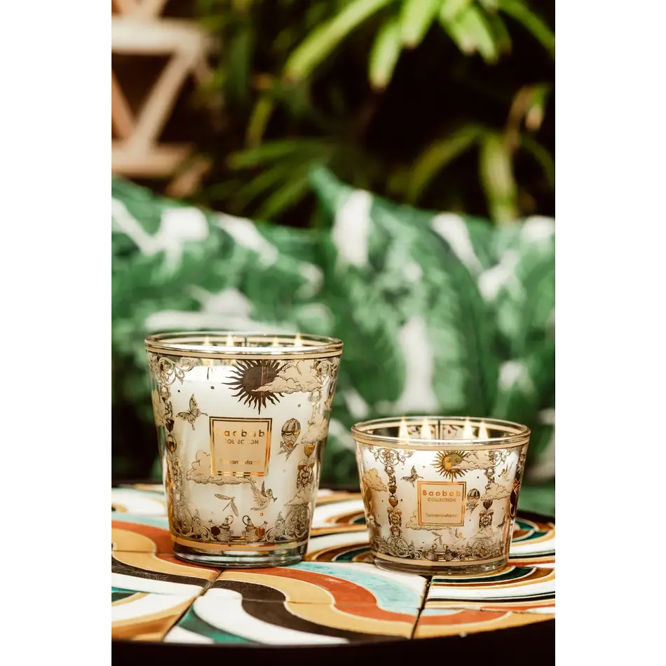 Baobab Tomorrowland 2025 Max 16 Baobab Tomorrowland 2025 Max 16