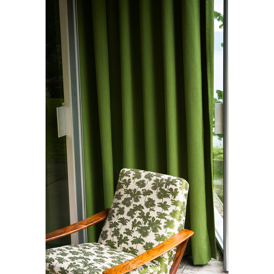 Dedar Be Bop A Lula - Cactus Dedar Be Bop A Lula - Cactus