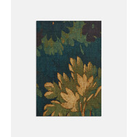 Schwarzwald - Verdure