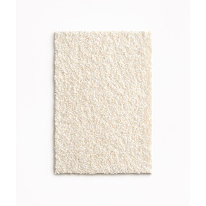 Dedar Nimbus - Brebis Dedar Nimbus - Brebis