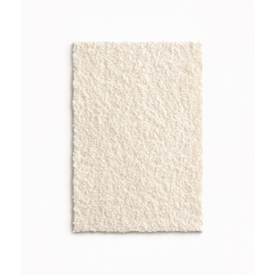 Dedar Nimbus - Brebis Dedar Nimbus - Brebis