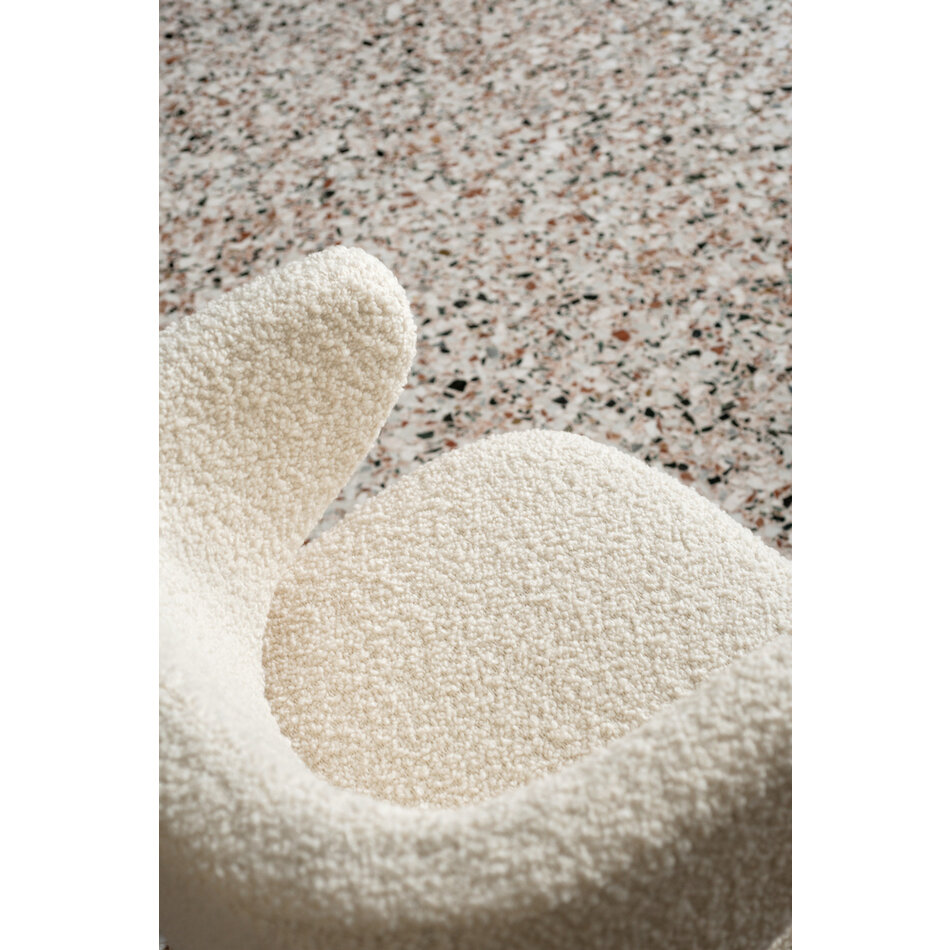 Dedar Nimbus - Brebis Dedar Nimbus - Brebis