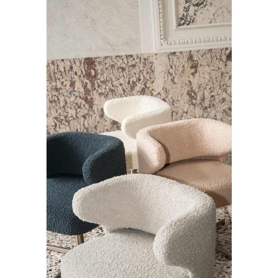 Dedar Nimbus - Brebis Dedar Nimbus - Brebis