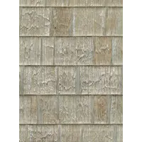 Nenuphare wallpaper 88