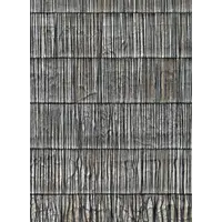 Nenuphare wallpaper 81