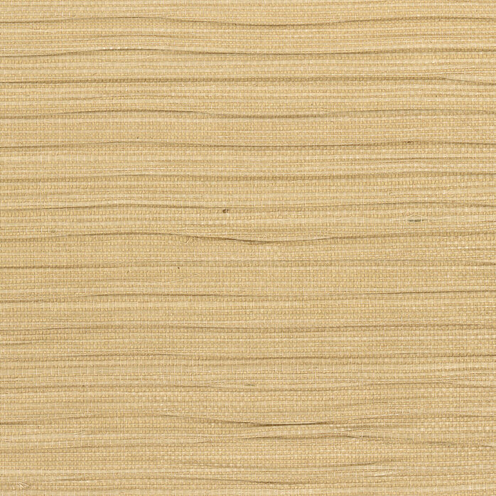 CMO Paris Sisal Mural 2 20