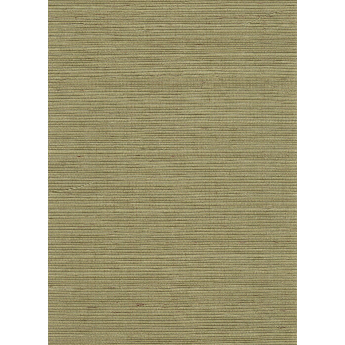 Greenland Sisal - New Bali - Weeping Willow Greenland Sisal - New Bali - Weeping Willow