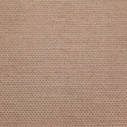 Dedar Sinequanon - Rose Dedar Sinequanon - Rose