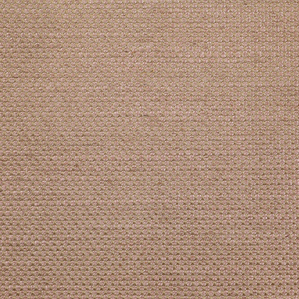 Dedar Sinequanon - Rose Dedar Sinequanon - Rose