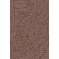 Strelitzia - Hickory