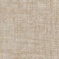 Brushed Suede - Champagne