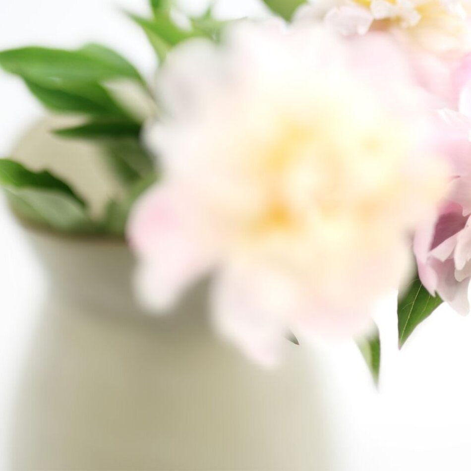 Guaxs Okinawa L - Smokegrey - 38cm Guaxs Okinawa L - Smokegrey - 38cm