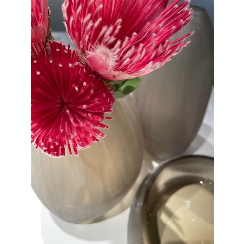 Guaxs Clemente Bowl - Smokegrey - 8cm Guaxs Clemente Bowl - Smokegrey - 8cm