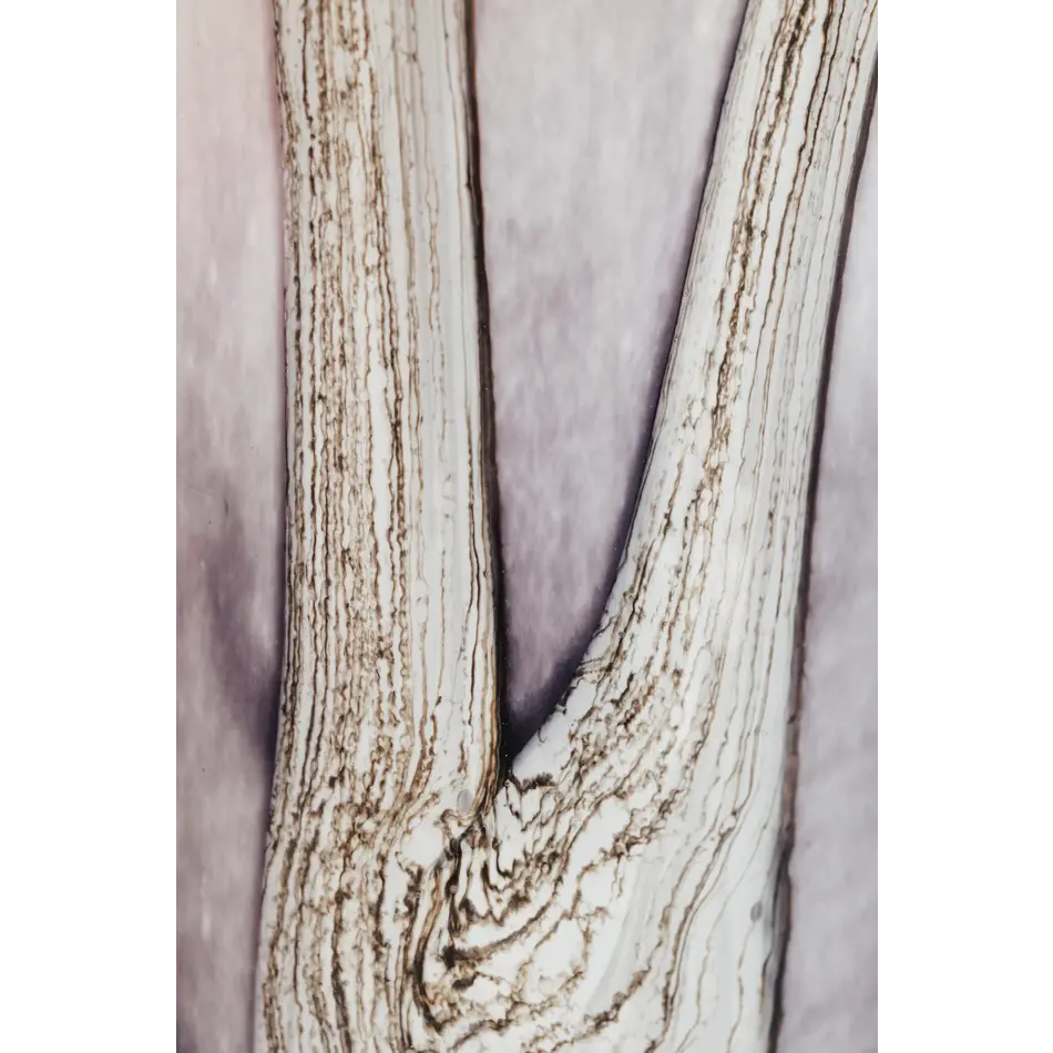 Baobab Woods Broceliande Max 35 Scented Candle Baobab Woods Broceliande Max 35 Scented Candle