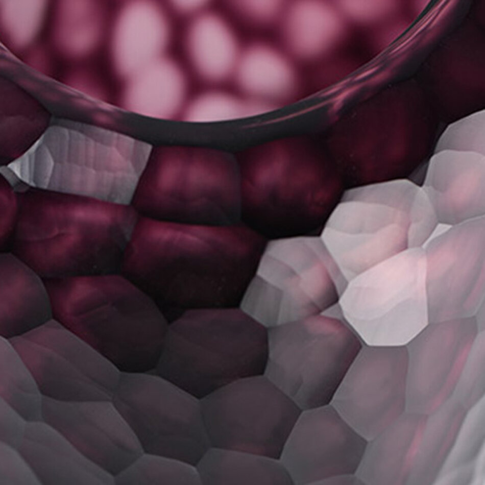 Guaxs Somba L - Light Amethyst/Amethyst - 26cm Guaxs Somba L - Light Amethyst/Amethyst - 26cm