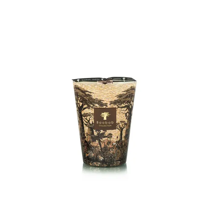 Baobab Fragrance Candle - Sacred Trees Mankono - Max 24
