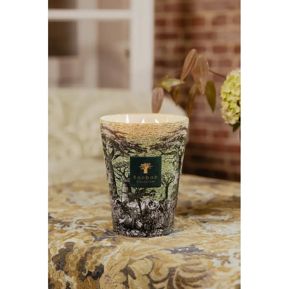 Baobab Fragrance Candle - Scared Trees Touba - Max 10 Baobab Fragrance Candle - Scared Trees Touba - Max 10