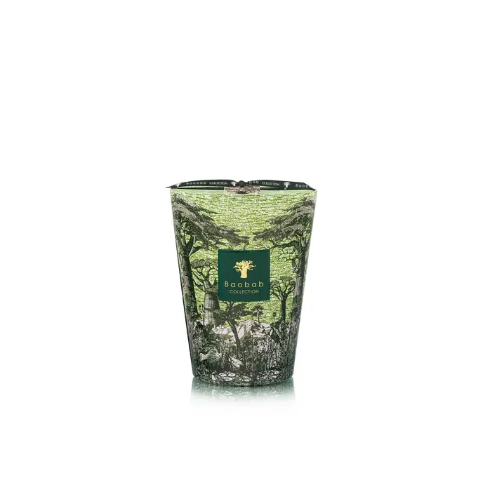 Baobab Fragrance Candle - Scared Trees Touba - Max 24 Baobab Fragrance Candle - Scared Trees Touba - Max 24