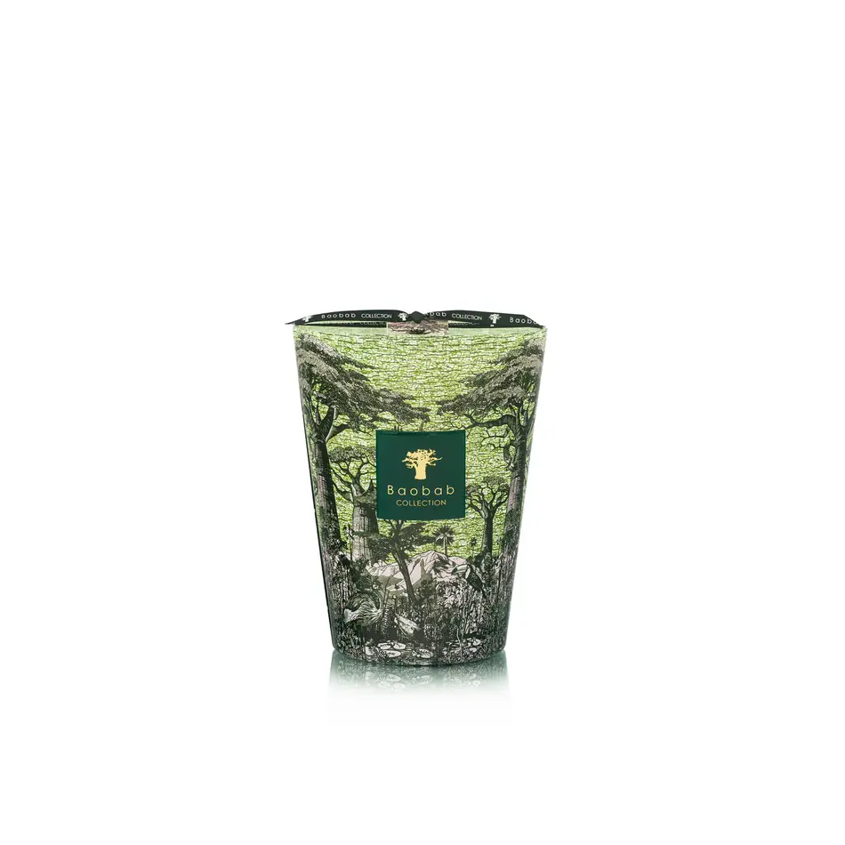 Baobab Fragrance Candle - Scared Trees Touba - Max 24 Baobab Fragrance Candle - Scared Trees Touba - Max 24