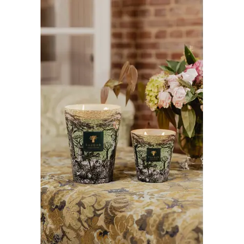 Baobab Fragrance Candle - Scared Trees Touba - Max 24 Baobab Fragrance Candle - Scared Trees Touba - Max 24