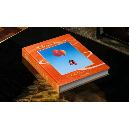 Assouline Santoni Meraviglia