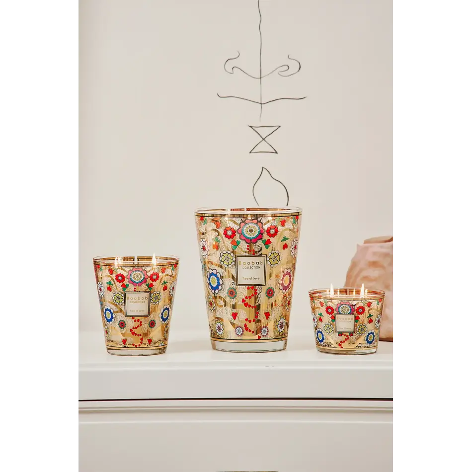 Baobab Tree of Love Max 16 Scented Candle Baobab Tree of Love Max 16 Scented Candle