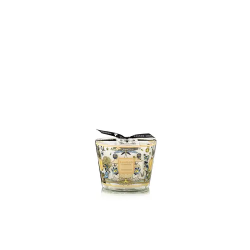 Baobab Tomorrowland 2026 Max 10 Scented Candle