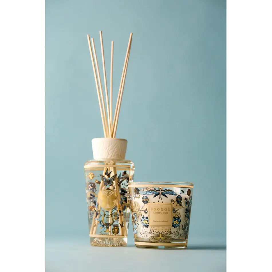 Baobab Tomorrowland 2026 My First Baobab Giftbox Baobab Tomorrowland 2026 My First Baobab Giftbox