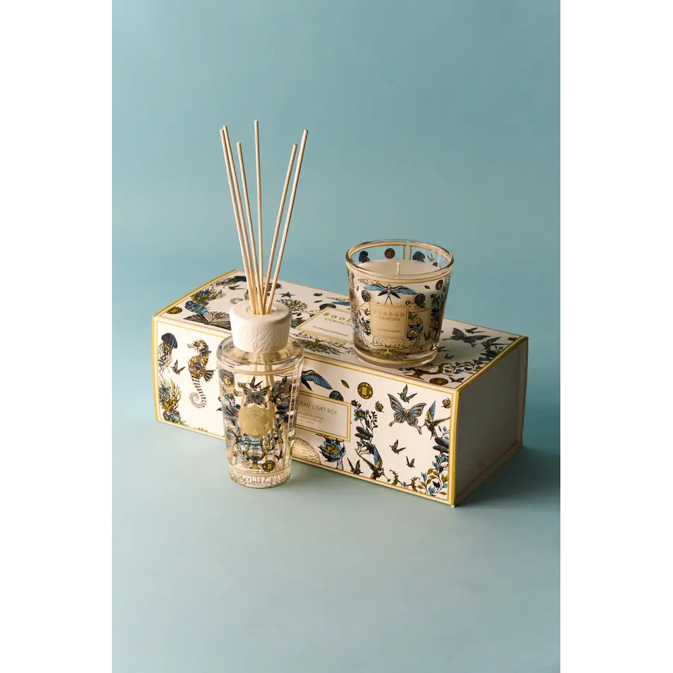 Baobab Tomorrowland 2026 My First Baobab Giftbox Baobab Tomorrowland 2026 My First Baobab Giftbox