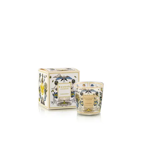 Baobab Tomorrowland 2026 Max 8 Scented Candle Baobab Tomorrowland 2026 Max 8 Scented Candle