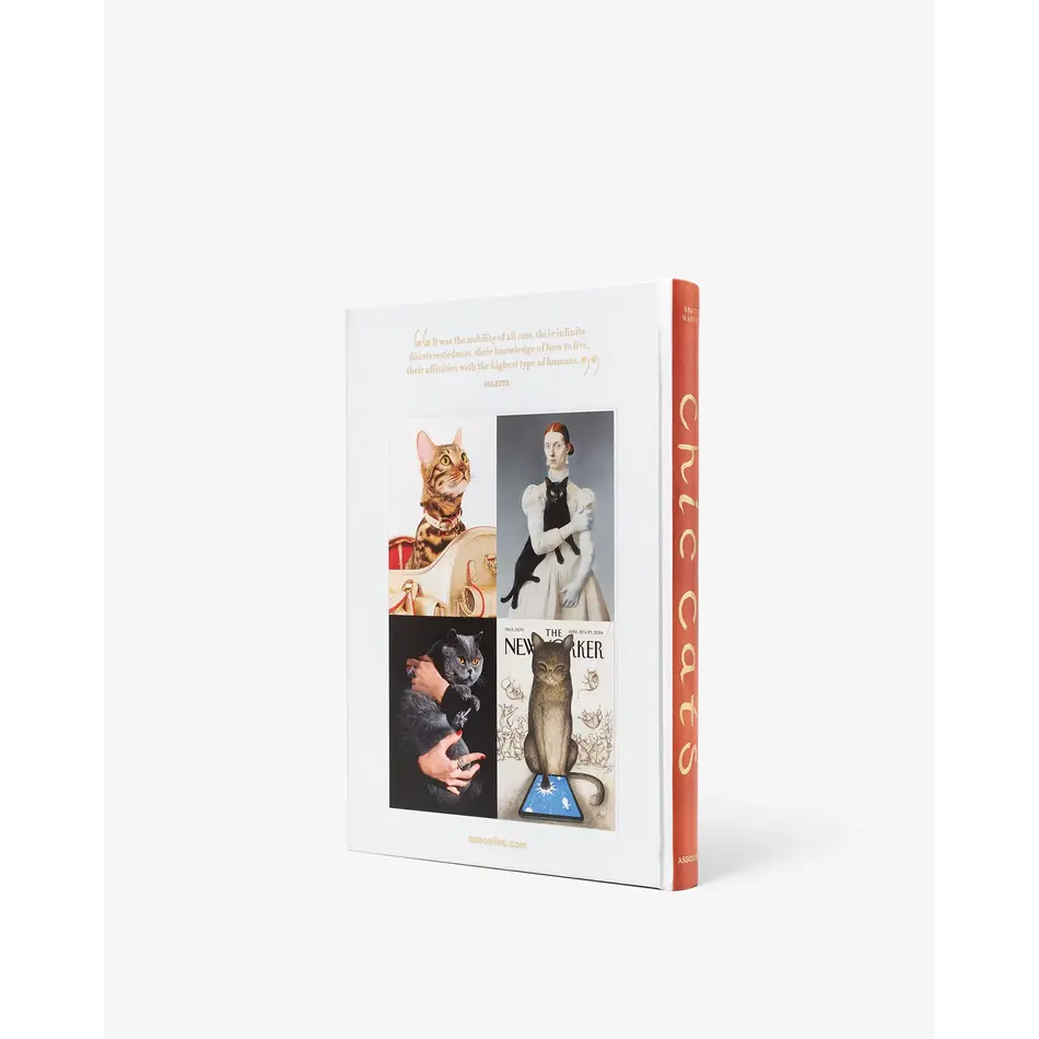 Assouline Chic Cats