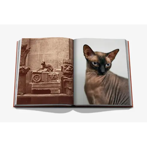 Assouline Chic Cats