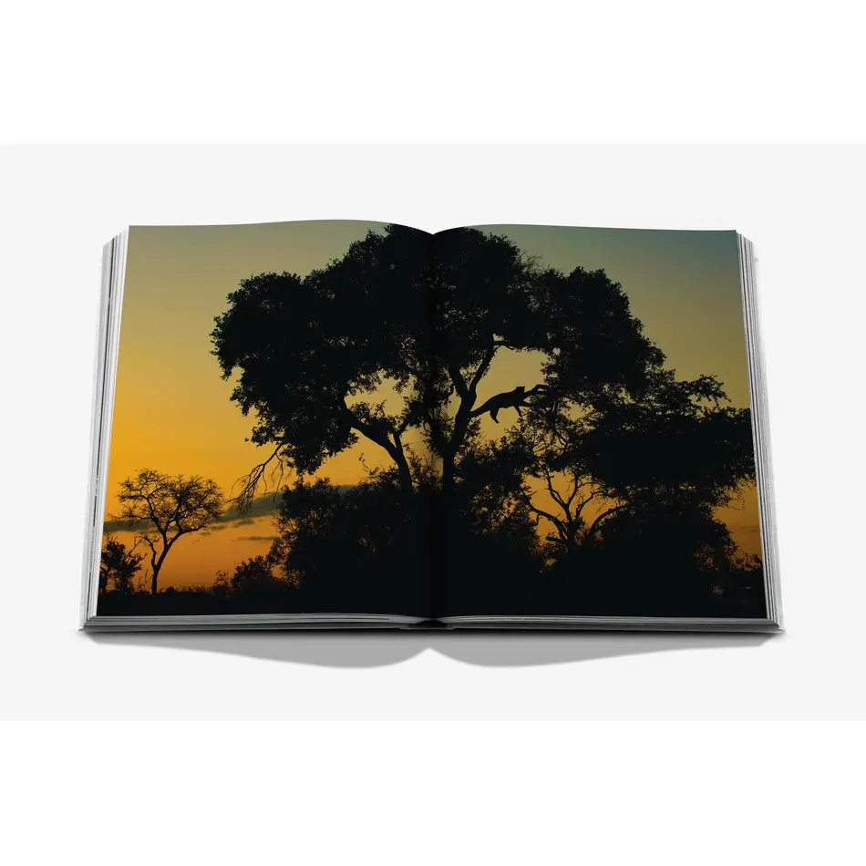 Assouline Londolozi: The Safari that Changed Everything