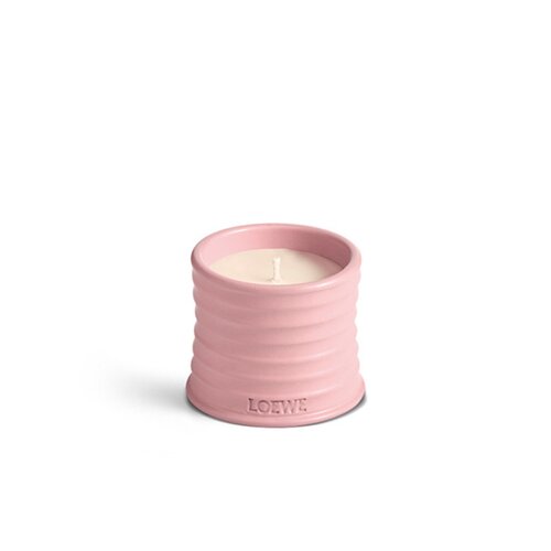 LOEWE Small Ivy Geurkaars